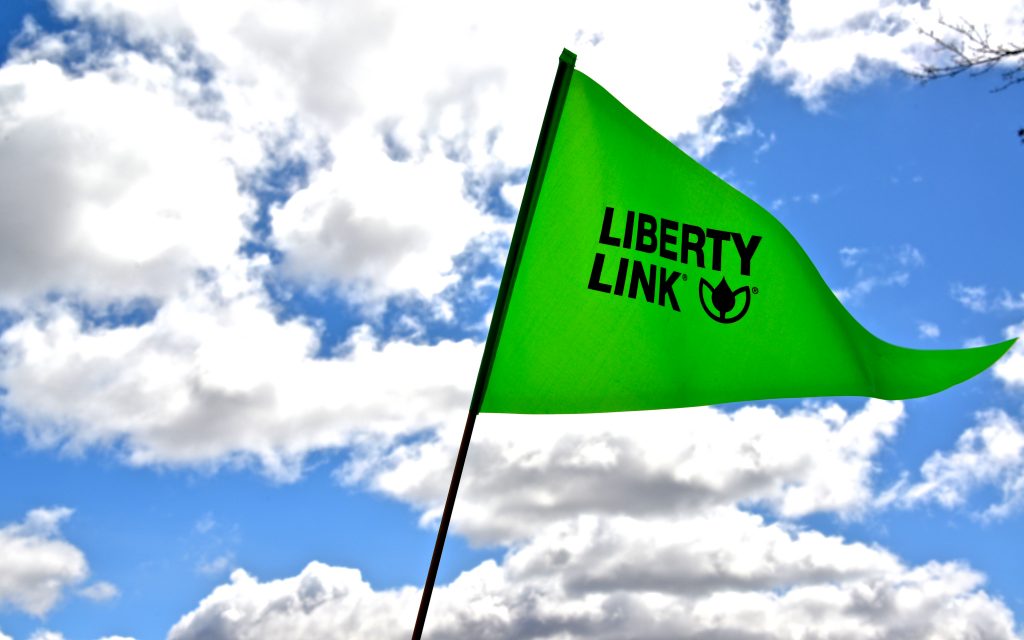 9-15-libertylink-flag