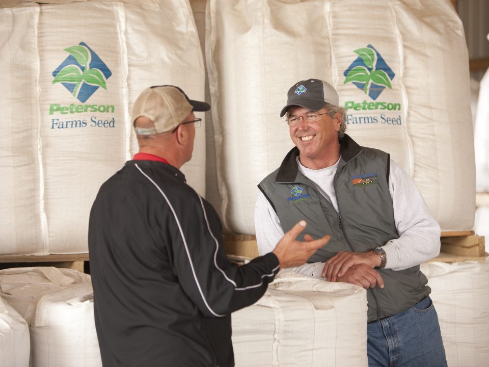 4 Questions to ask when talking to your seed dealer