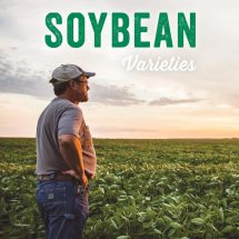 Soybean Varieties